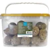Bird premium meiseboller 30stk