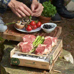 Casus engangsgrill