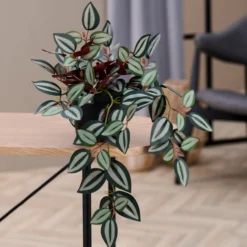 Day kunstig plante husvandrer h25cm