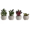 Day kunstig plante 6,5x6,5x11cm assortert