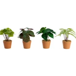 Day kunstig plante 7x7x15cm day