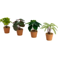 Day kunstig plante 7x7x15cm day