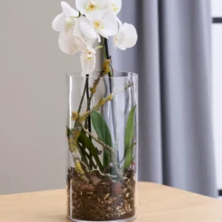 Day vase sylinder ø15cm h30cm glass