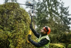 Dewalt hekksaks 18v xr 2,15m u/batteri