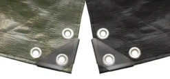 Green><noscript><img width=