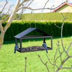 Grouw fuglemater på stolpe