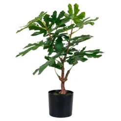 House nordic fikentre kunstig plante grønn h60 cm
