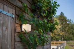 Lutec architectural doblo vegghengt lampe 150mm kull grå