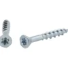 Sponplateskrue elforsinket 4,2x41 mm t20 350 stk