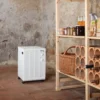 Wood's avfukter for større kjellere sw42fw